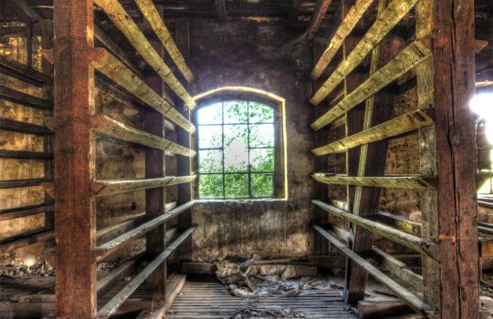 Verfallene Holzhalle mit Fenster und Regalen.