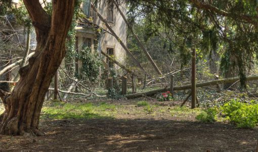 Efeubewachsenes, verfallenes Gebäude im Wald.